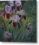 Irises Metal Print