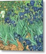 Irises By Vincent Van Gogh Metal Print
