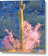 Ironwood Saguaro Dance Metal Print