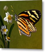 Isabella Tiger Butterfly Metal Print