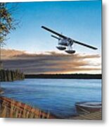 Island Fly By Metal Print