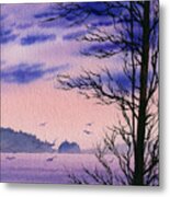 Island Point Metal Print