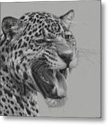 Jaguar Portrait Metal Print