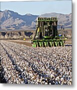 John Deere Cotton Pickers Harvesting Metal Print