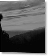 Joshua Tree Black And White Metal Print