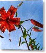 July Metal Print