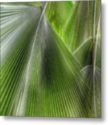 Jungle Palms Metal Print