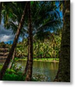 Jungle River Palms Kauai Metal Print