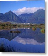 Kanaha Pond Maui Metal Print