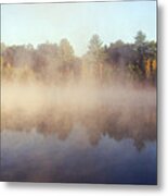 Kennedy Pond Metal Print