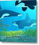 Killer Whale Reef Metal Print