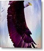 King Of The Skies Metal Print