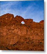 Kissing Camels In The Gardens Metal Print