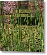 Kittatiny Spring Metal Print