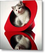 Kitten In The Hat Metal Print