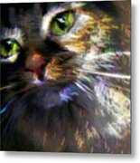 Kitty Cat Fireworks Metal Print