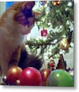 Kitty Helps Decorate The Tree Christmas Card Metal Print