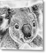 Koala Newport Bridge Gloria Metal Print