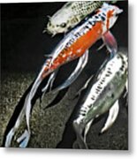 Koi Cliques Metal Print