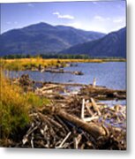 Kootenai Lake Bc Metal Print