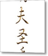 Kung Fu San Soo Chinese Characters Typography Metal Print