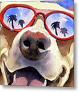 Labrador Retriever In Sunglasses Metal Print