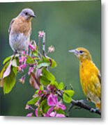 Ladies On A Limb Metal Print