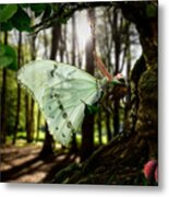 Lady Butterfly Metal Print