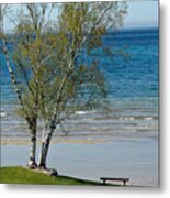 Lake Michigan Birch Tree Bench Metal Print