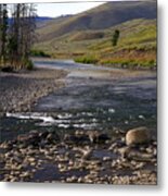 Lamar Valley 3 Metal Print