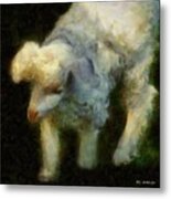 Lambkin Metal Print