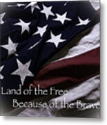 Land Of The Free Metal Print