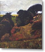 Landscape At Rhug Metal Print