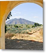 Landscape With Agave Cactus Field In Mexico Metal Print