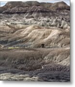 Landscape With Many Colors Metal Print