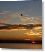 Lanesville Sunset Metal Print