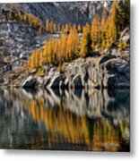 Larch Reflection In Enchantments Metal Print