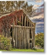 Late Afternoon At The Barn Metal Print