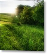 Late Day Sunburst, Hill And Meadow, Montgomery County, Pennsylva Metal Print