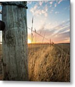Late December - Sunset Along Fence Row In Oklahoma Metal Print