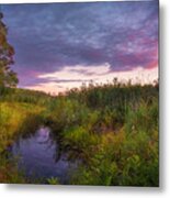 Late Summer Color At Blue Marsh Metal Print