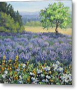 Lavender And Wildflowers Metal Print