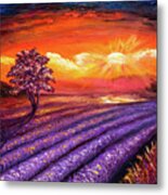 Lavender Field At Sunset Metal Print