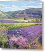 Lavender Fields In Old Provence Metal Print