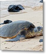 Lazy Day At The Beach Metal Print