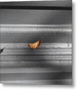 Leaf In Suspense Metal Print