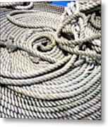 Learning The Ropes Metal Print