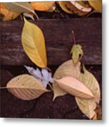 Leaves Wood Brick Metal Print