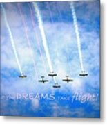 Let Your Dreams Take Flight Metal Print