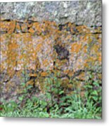 Lichened Wall,westport,ma Metal Print